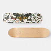 Skateboard Acherontia atropos (Moelle Hawkmoth de la tête de (Horz)