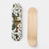 Skateboard Acherontia atropos (Moelle Hawkmoth de la tête de (Recto)