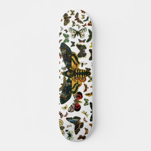 Skateboard Acherontia atropos (Moelle Hawkmoth de la tête de (Devant)
