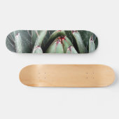 Skateboard Agave Aloe Vera Plante Photo Patinage (Horz)