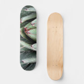 Skateboard Agave Aloe Vera Plante Photo Patinage (Recto)
