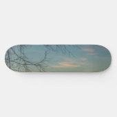 Skateboard Air et facilité (Horz)