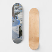 Skateboard Akseli Gallen-Kallela - Le repaire du Lynx (Recto)