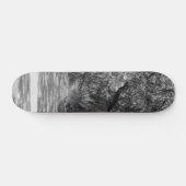 Skateboard Allée de chênes en nuances de gris (Horz)