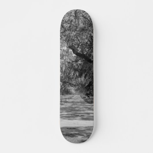 Skateboard Allée de chênes en nuances de gris (Devant)