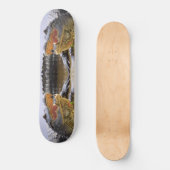 Skateboard Alligator (Recto)