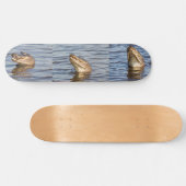Skateboard Alligator. Face à face (Horz)