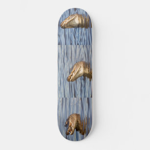 Skateboard Alligator. Face à face