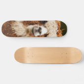 Skateboard Alpaga (Horz)