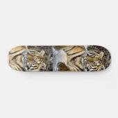 Skateboard Amateurs de tigres Cadeaux d'art (Horz)