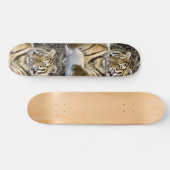 Skateboard Amateurs de tigres Cadeaux d'art (Horz)