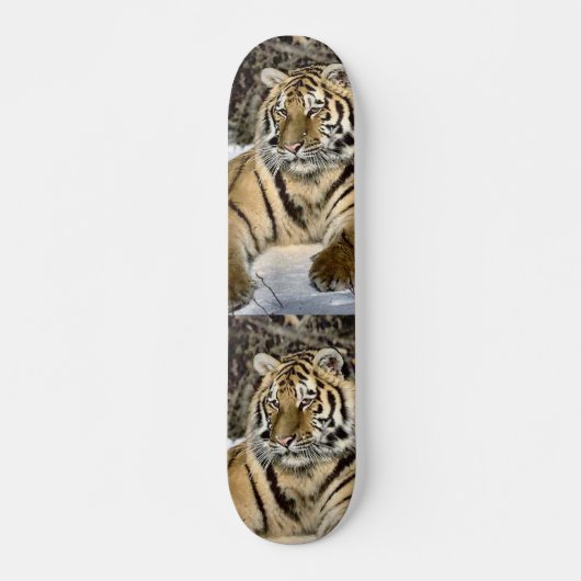 Skateboard Amateurs de tigres Cadeaux d'art (Devant)