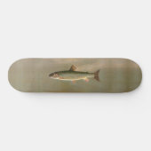 Skateboard American Brook Truite Poisson Pêche Vintage Art (Horz)