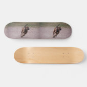 Skateboard Amstaff en cours (Horz)