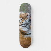Skateboard Amur tiger (Recto)