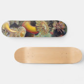 Skateboard Anémone de mer Nature scientifique Océan (Horz)