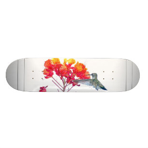Skateboard Animal de faune d'oiseau de colibri floral