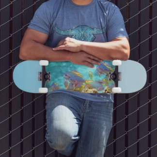 Skateboard Anthias - Banc coloré de poissons sur un récif cor