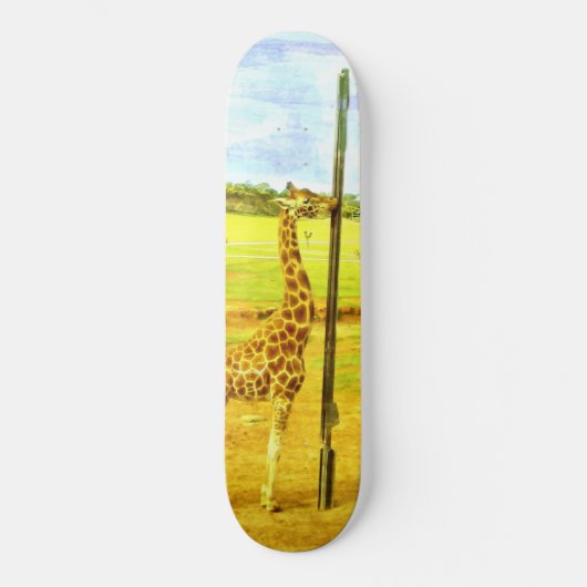 Skateboard Aquarelle de Giraffe, (Recto)