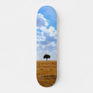 Skateboard Arbre dans un champ de blé récolté