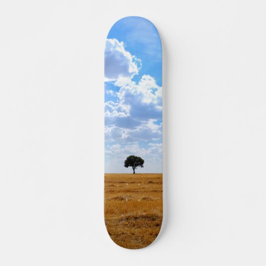 Skateboard Arbre dans un champ de blé récolté (Devant)