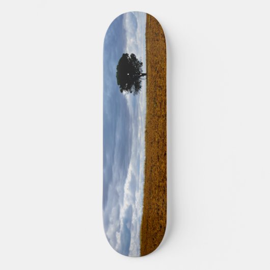 Skateboard Arbre dans un champ vide (Recto)
