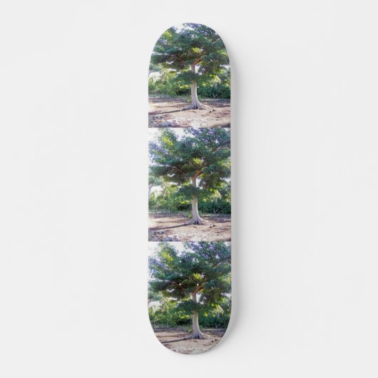 Skateboard Arbre de planche à roulettes (Devant)