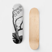 Skateboard arbre libre (Recto)