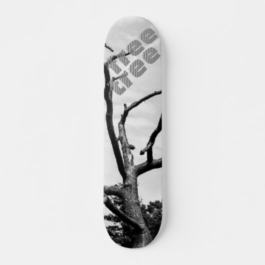Skateboard arbre libre (Devant)