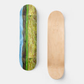 SKATEBOARD ARBRE SOLITAIRE DANS LE CHAMP DE FLEURS JAUNES, TO (Recto)