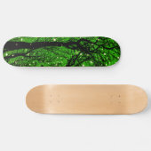 Skateboard Arbres (Horz)