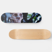 Skateboard Arcane Hiver I (Horz)