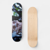 Skateboard Arcane Hiver I (Recto)