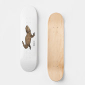 Skateboard Armadillo girdled lizard (Recto)