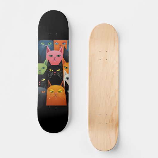 SKATEBOARD ART CAT (Recto)