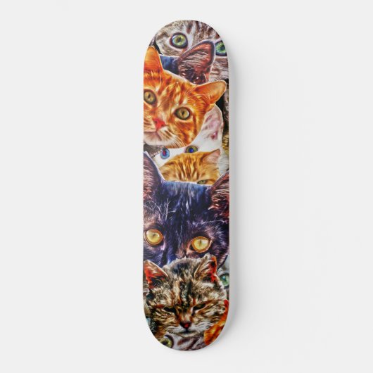 Skateboard Art du chat (Recto)