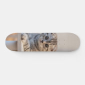 Skateboard Atento gato de raza fold escocés (Horizontaal)
