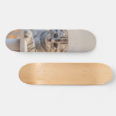 Skateboard Atento gato de raza fold escocés (Horizontaal)
