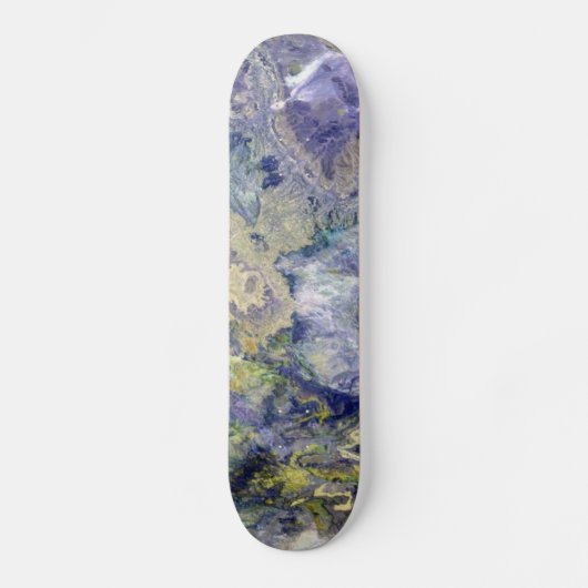 Skateboard Atlas (Atlas) (Recto)
