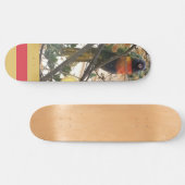 Skateboard Australian Wattle Rainbow Lorikeet Cockatoo Bird (Horz)