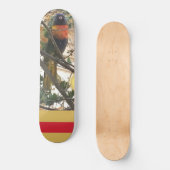 Skateboard Australian Wattle Rainbow Lorikeet Cockatoo Bird (Recto)