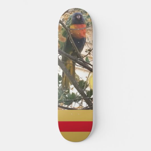 Skateboard Australian Wattle Rainbow Lorikeet Cockatoo Bird (Recto)