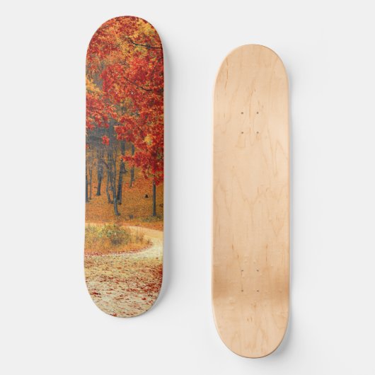 Skateboard automne dans la forêt (Recto)