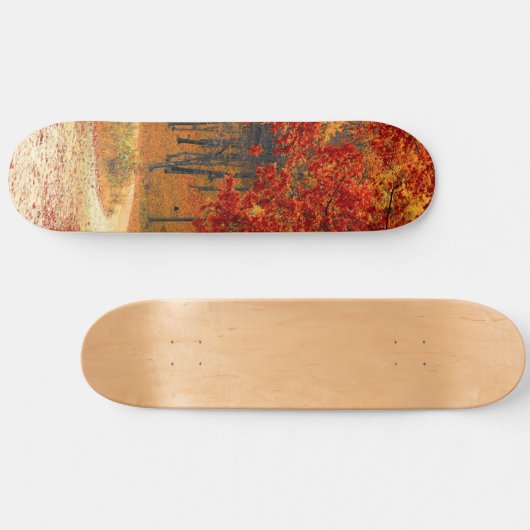 Skateboard automne dans la forêt (Horz)