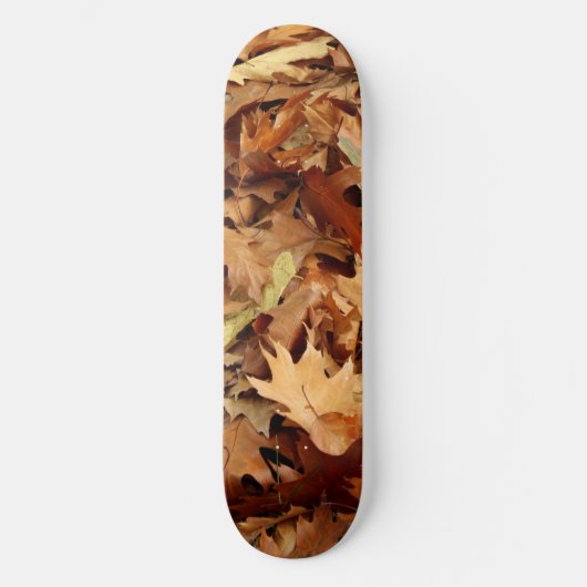 Skateboard automne, feuille sec (Recto)