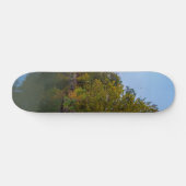 Skateboard Automne Matin Lac Springfield (Horz)