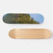 Skateboard Automne Matin Lac Springfield (Horz)