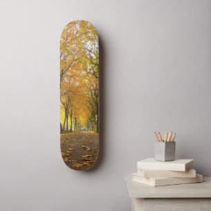 Skateboard Autumn path with yellow trees and leaves