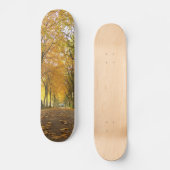 Skateboard Autumn path with yellow trees and leaves (Recto)