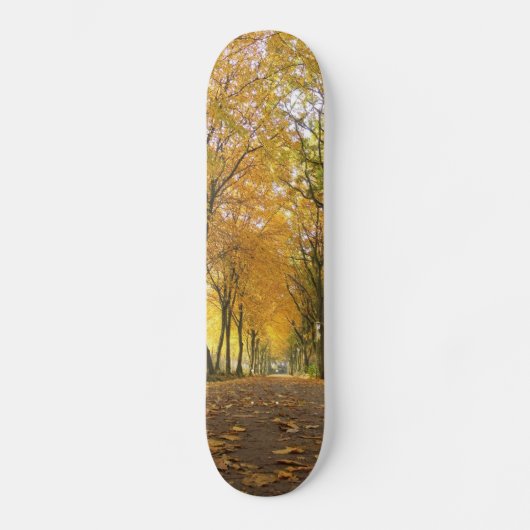 Skateboard Autumn path with yellow trees and leaves (Recto)
